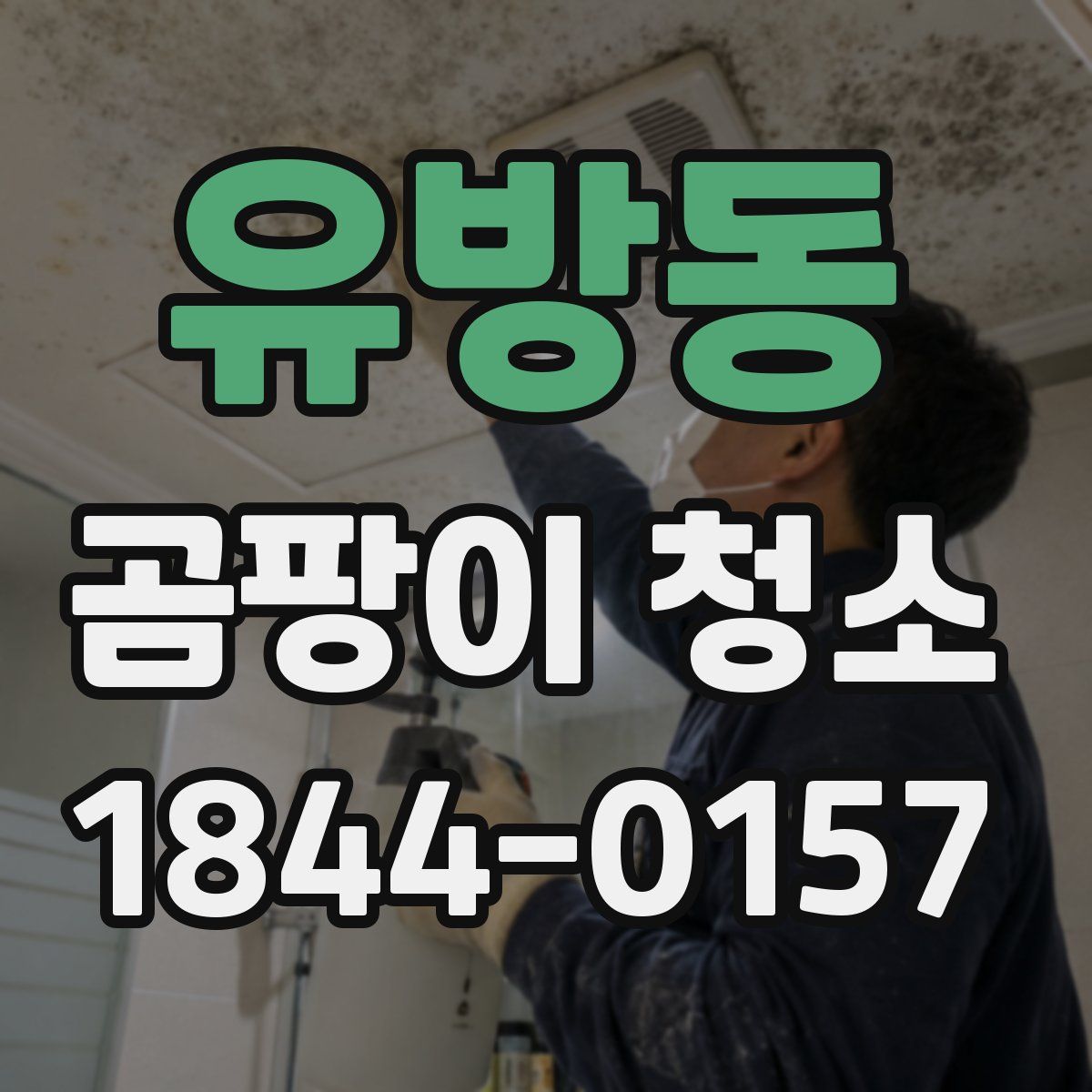 유방동 곰팡이 청소