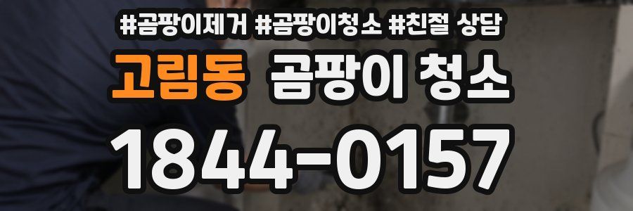고림동 곰팡이 청소