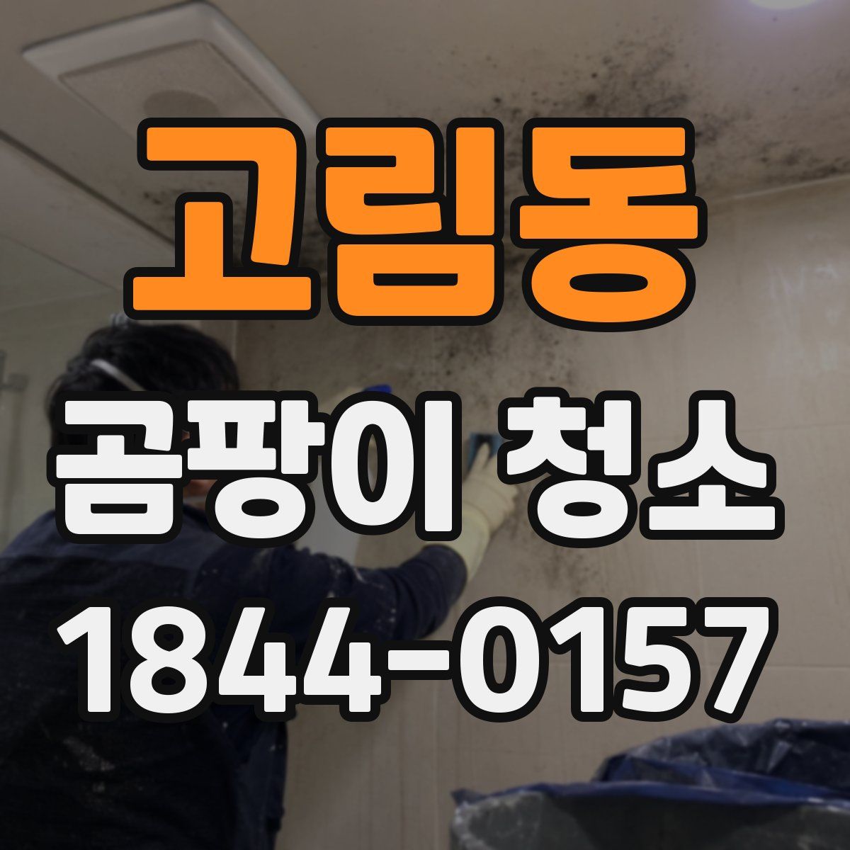 고림동 곰팡이 청소