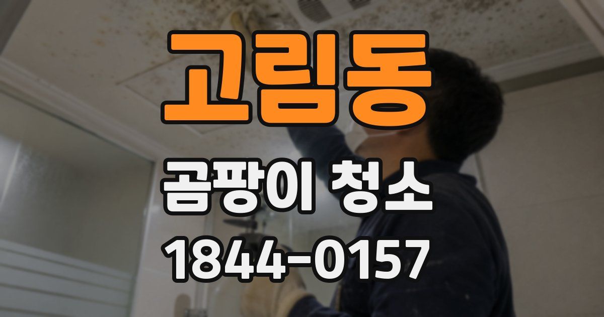 고림동 곰팡이 청소