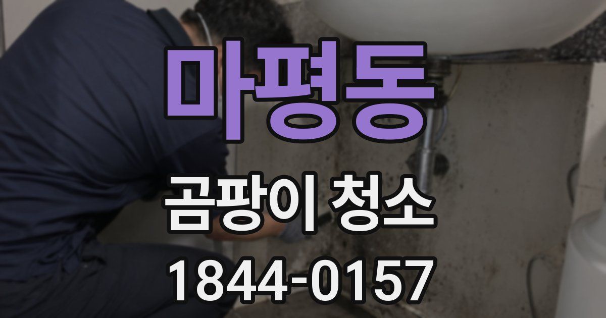 마평동 곰팡이 청소