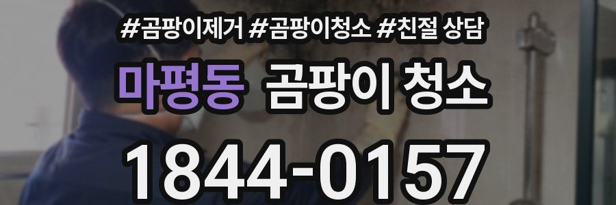 마평동 곰팡이 청소