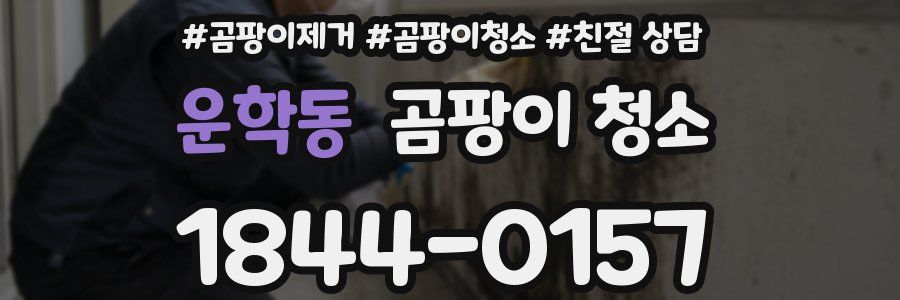 운학동 곰팡이 청소