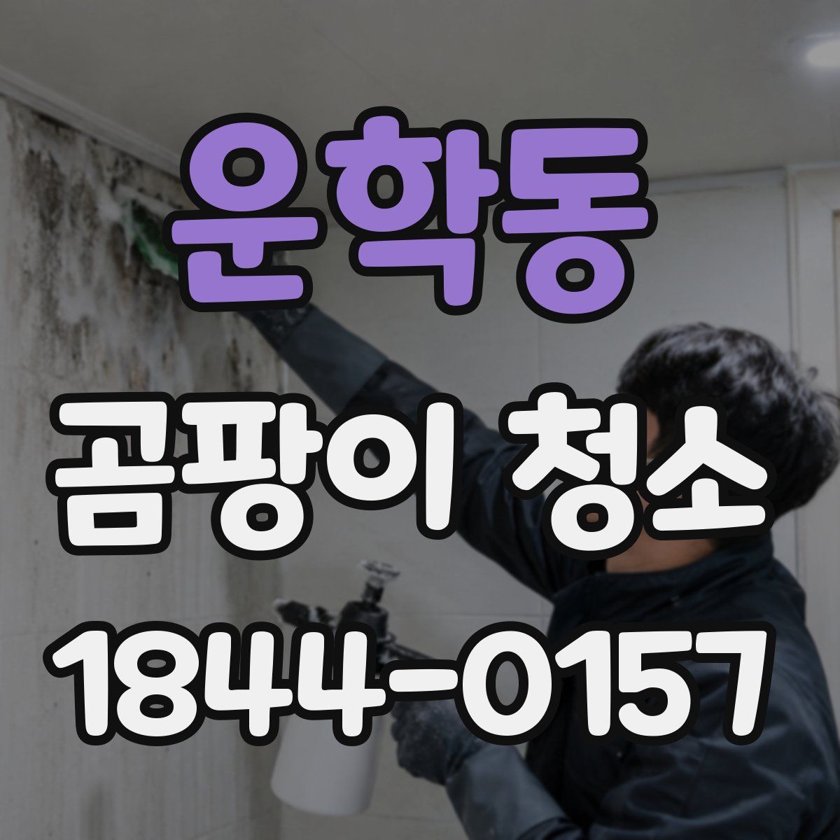 운학동 곰팡이 청소