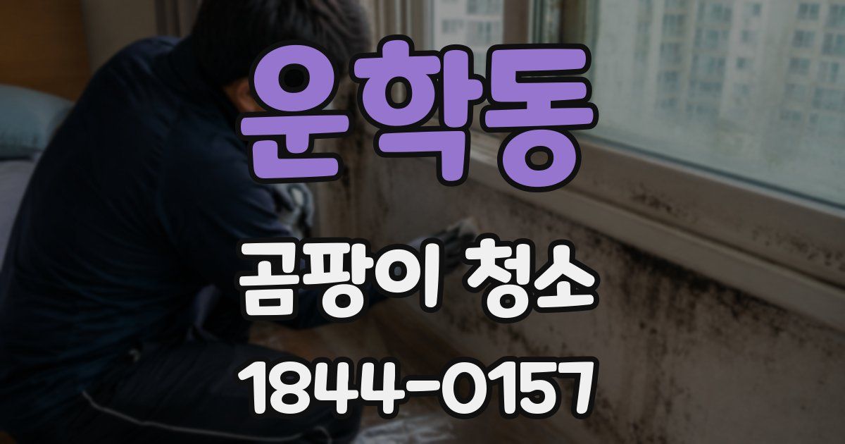 운학동 곰팡이 청소