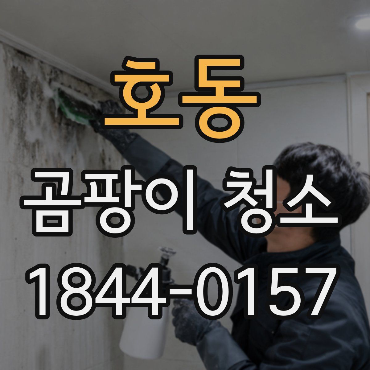 호동 곰팡이 청소