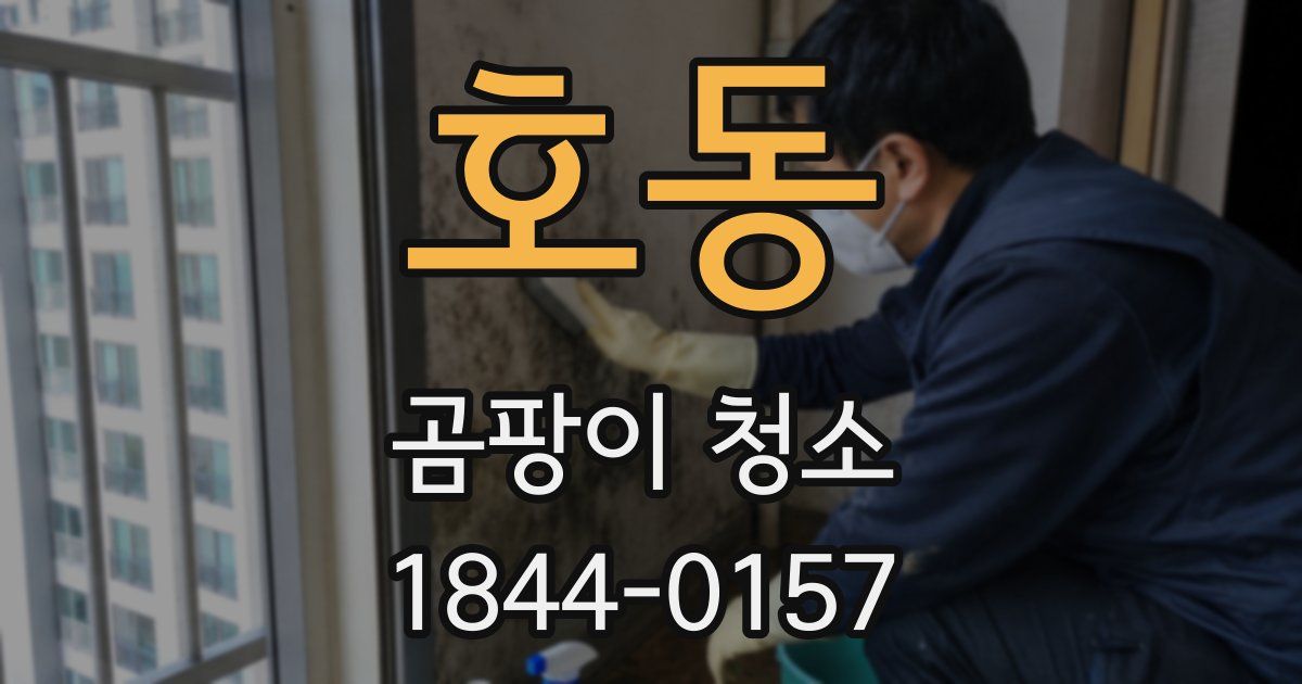 호동 곰팡이 청소