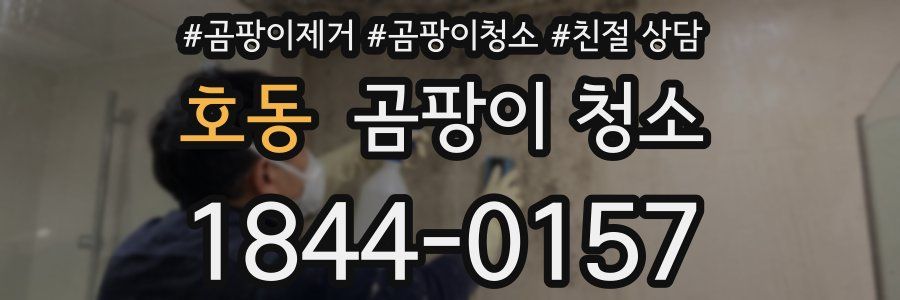 호동 곰팡이 청소
