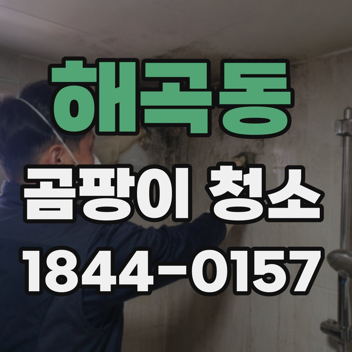 해곡동 곰팡이 청소