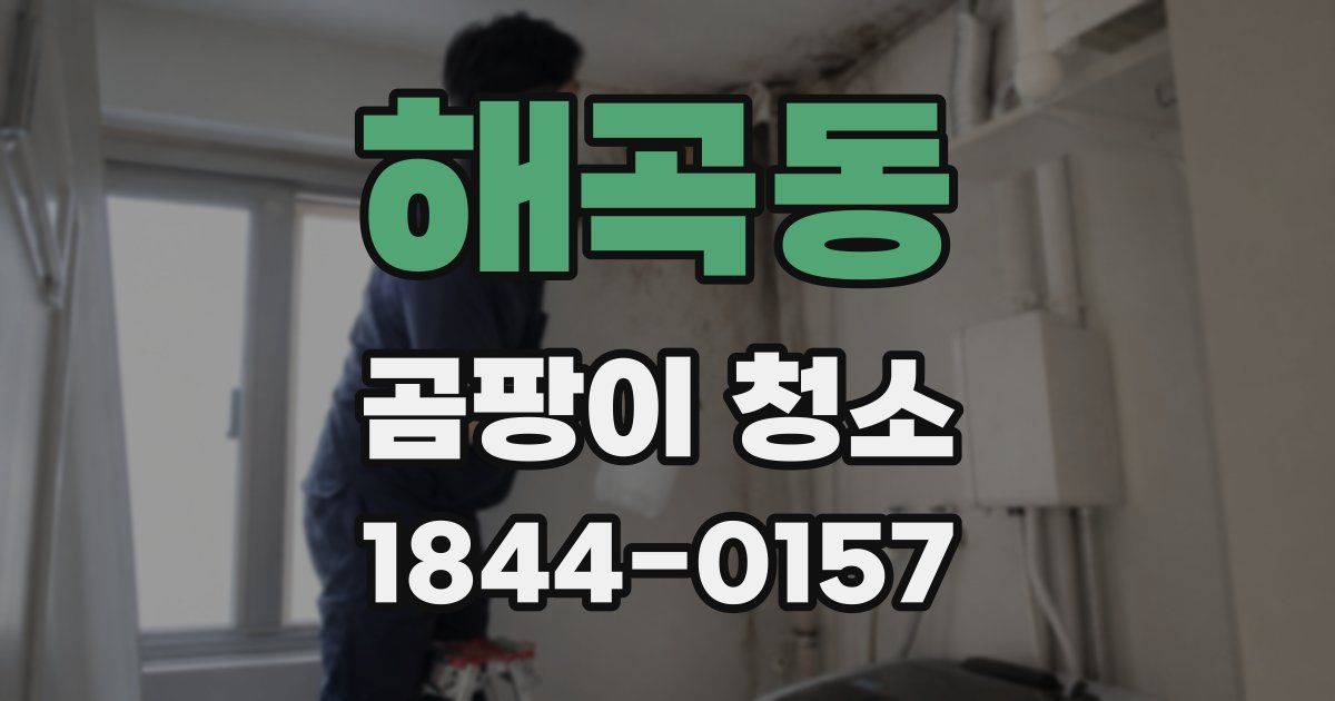 해곡동 곰팡이 청소