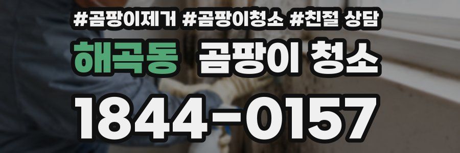 해곡동 곰팡이 청소