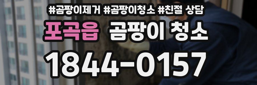 포곡읍 곰팡이 청소