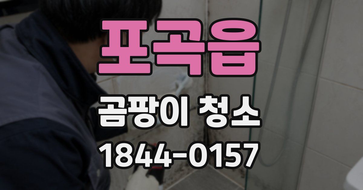 포곡읍 곰팡이 청소