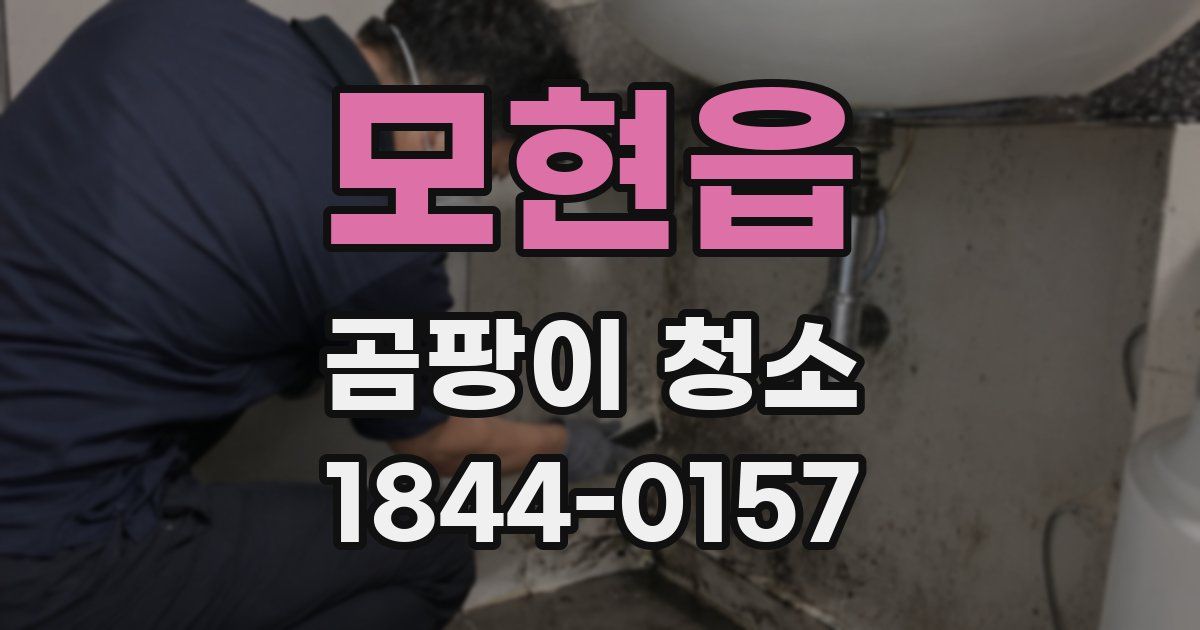 모현읍 곰팡이 청소