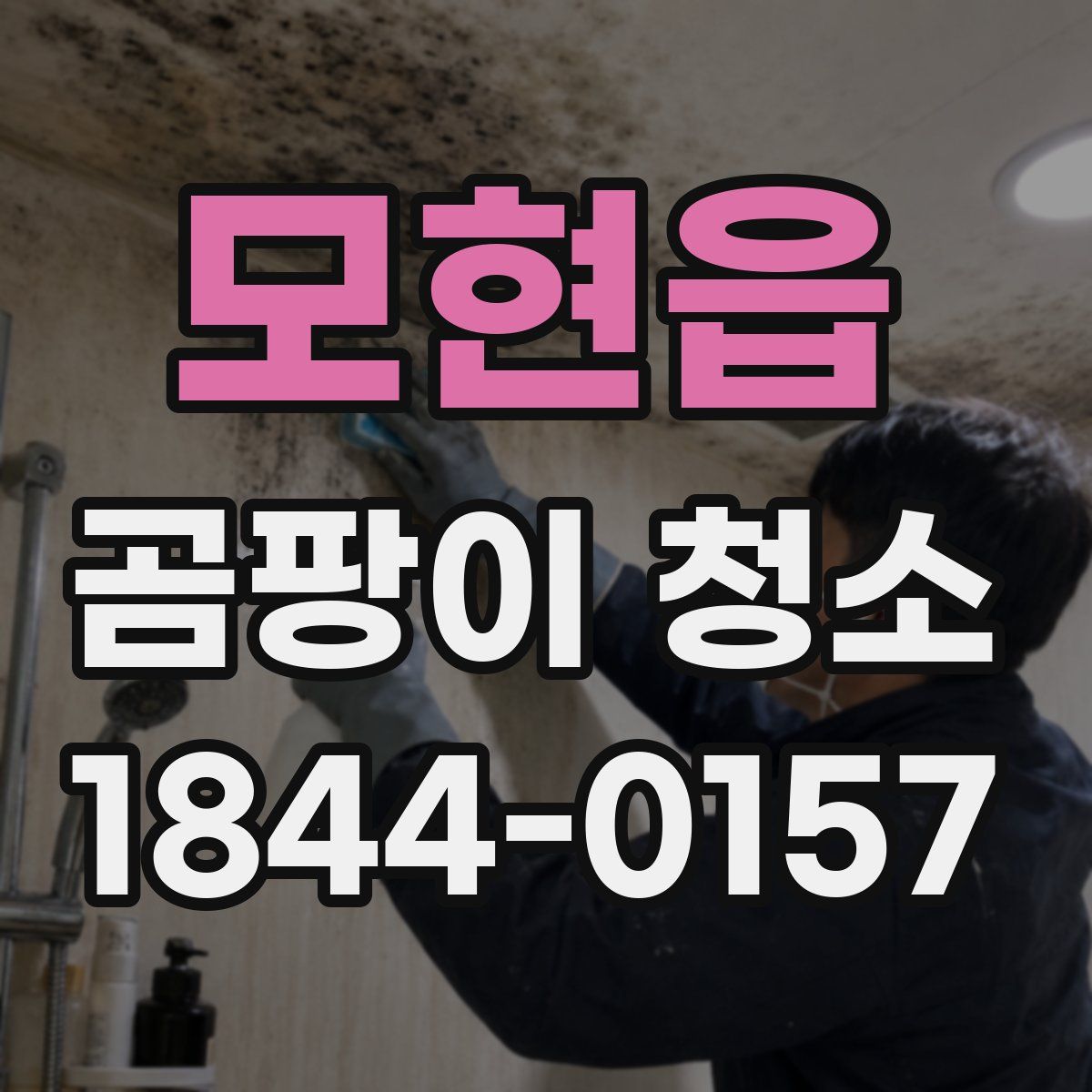 모현읍 곰팡이 청소