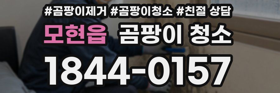 모현읍 곰팡이 청소