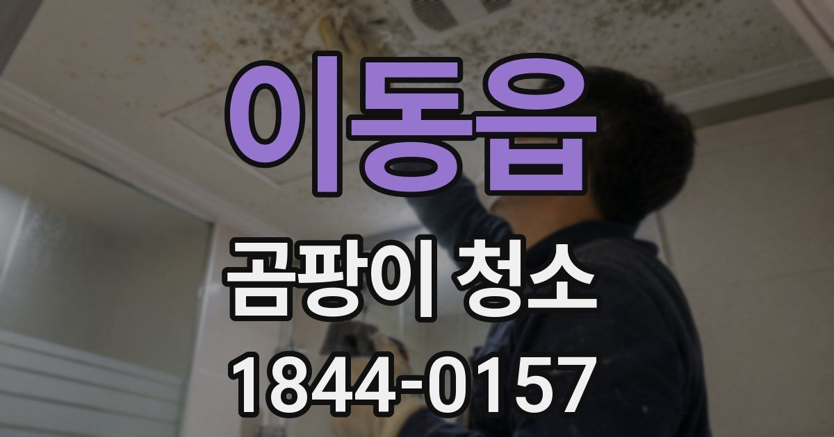 이동읍 곰팡이 청소