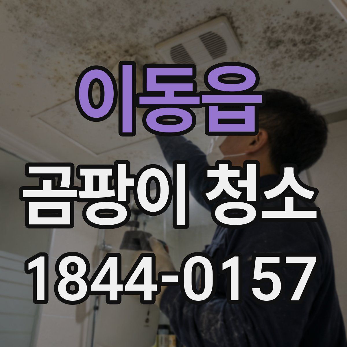 이동읍 곰팡이 청소