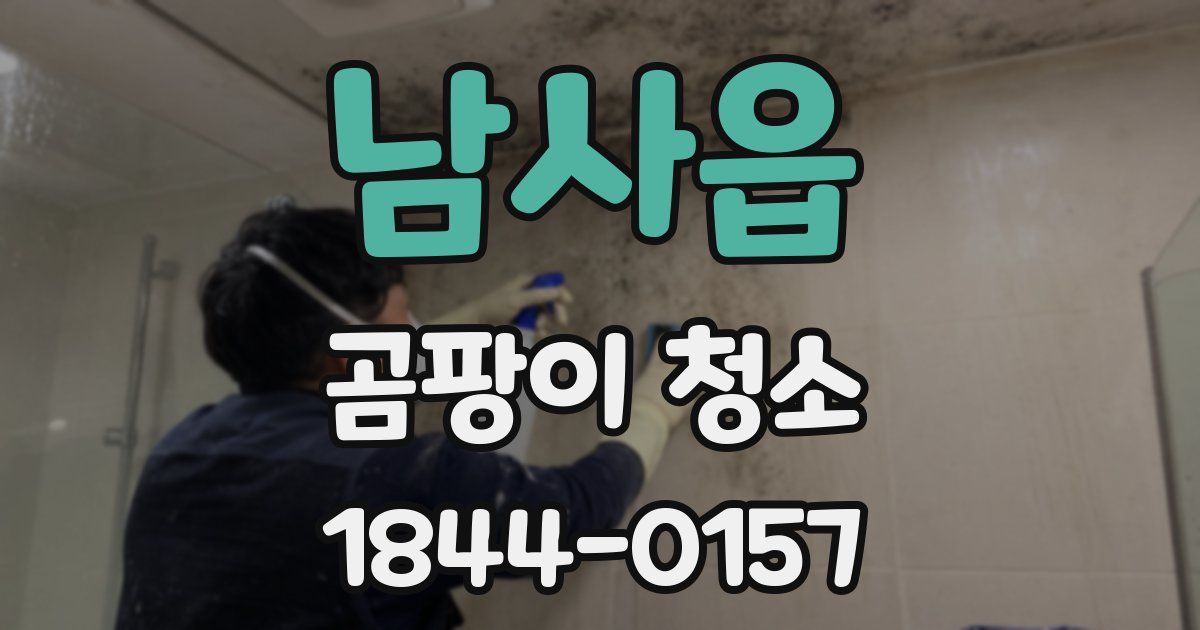 남사읍 곰팡이 청소