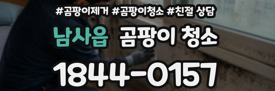 남사읍 곰팡이 청소