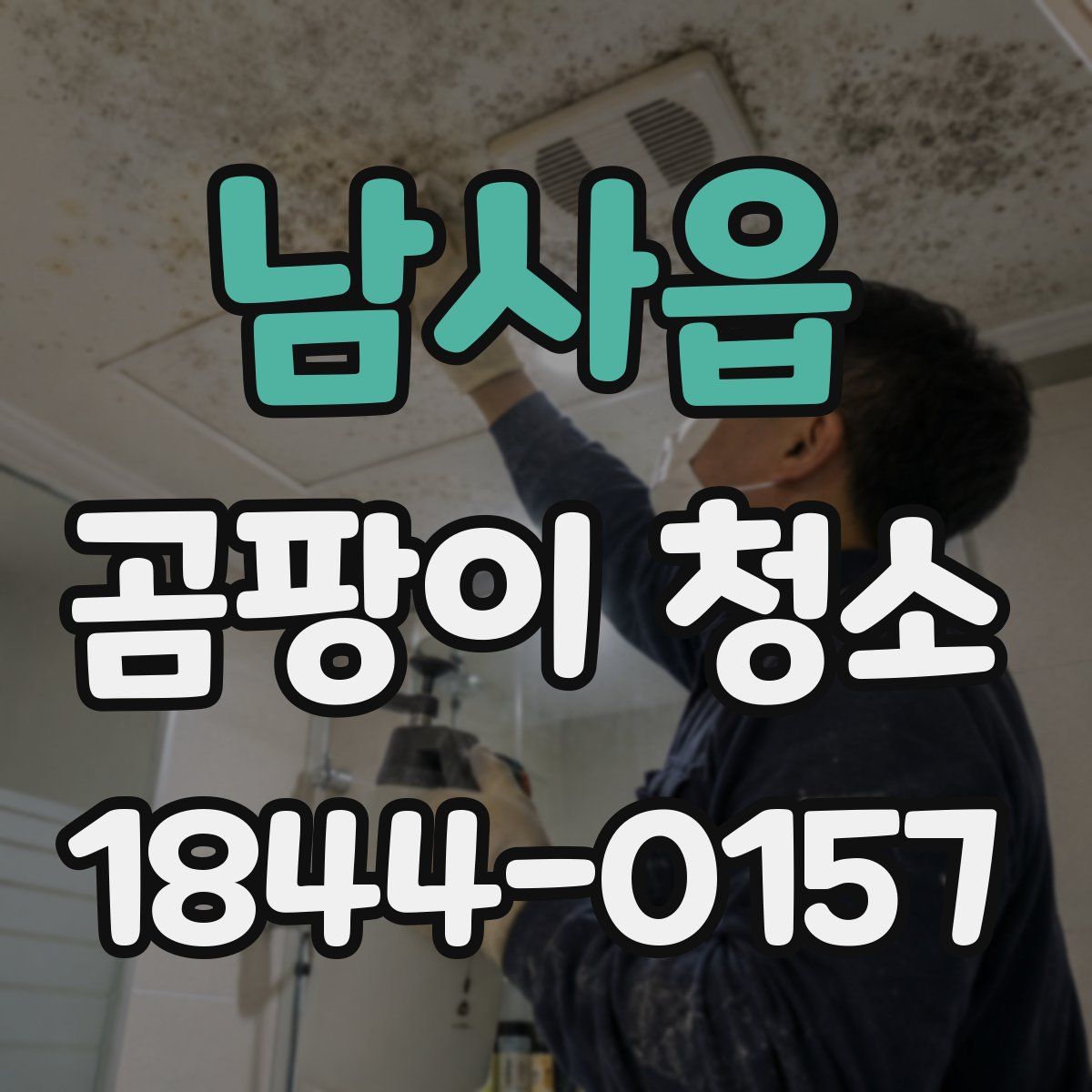 남사읍 곰팡이 청소