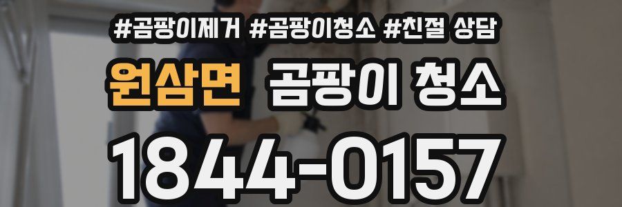원삼면 곰팡이 청소