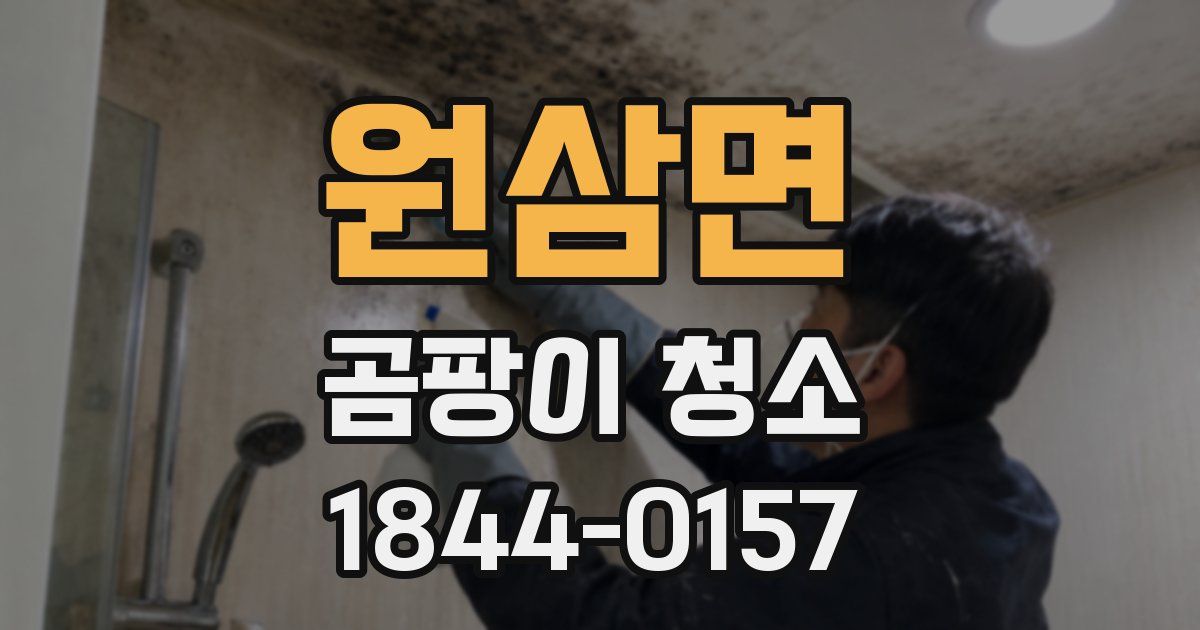 원삼면 곰팡이 청소