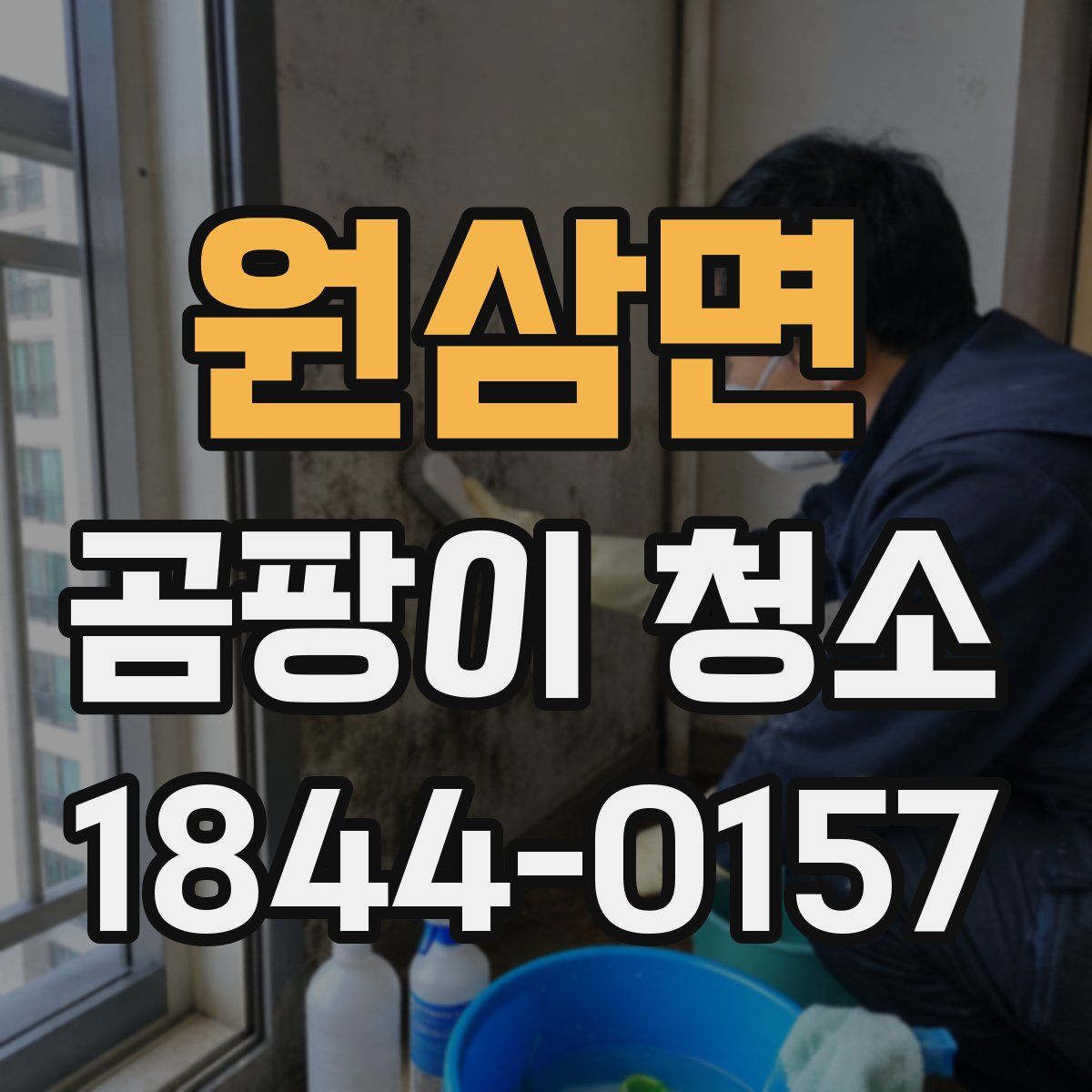 원삼면 곰팡이 청소
