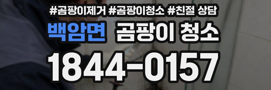 백암면 곰팡이 청소