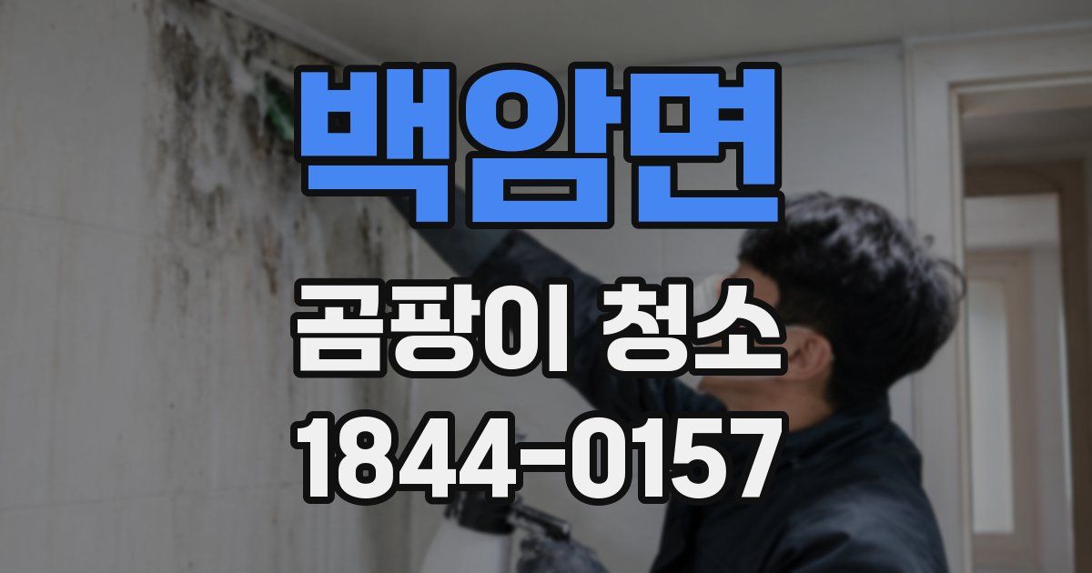 백암면 곰팡이 청소