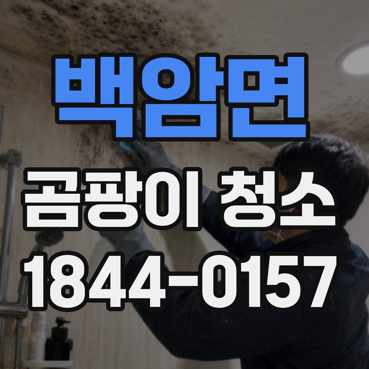 백암면 곰팡이 청소