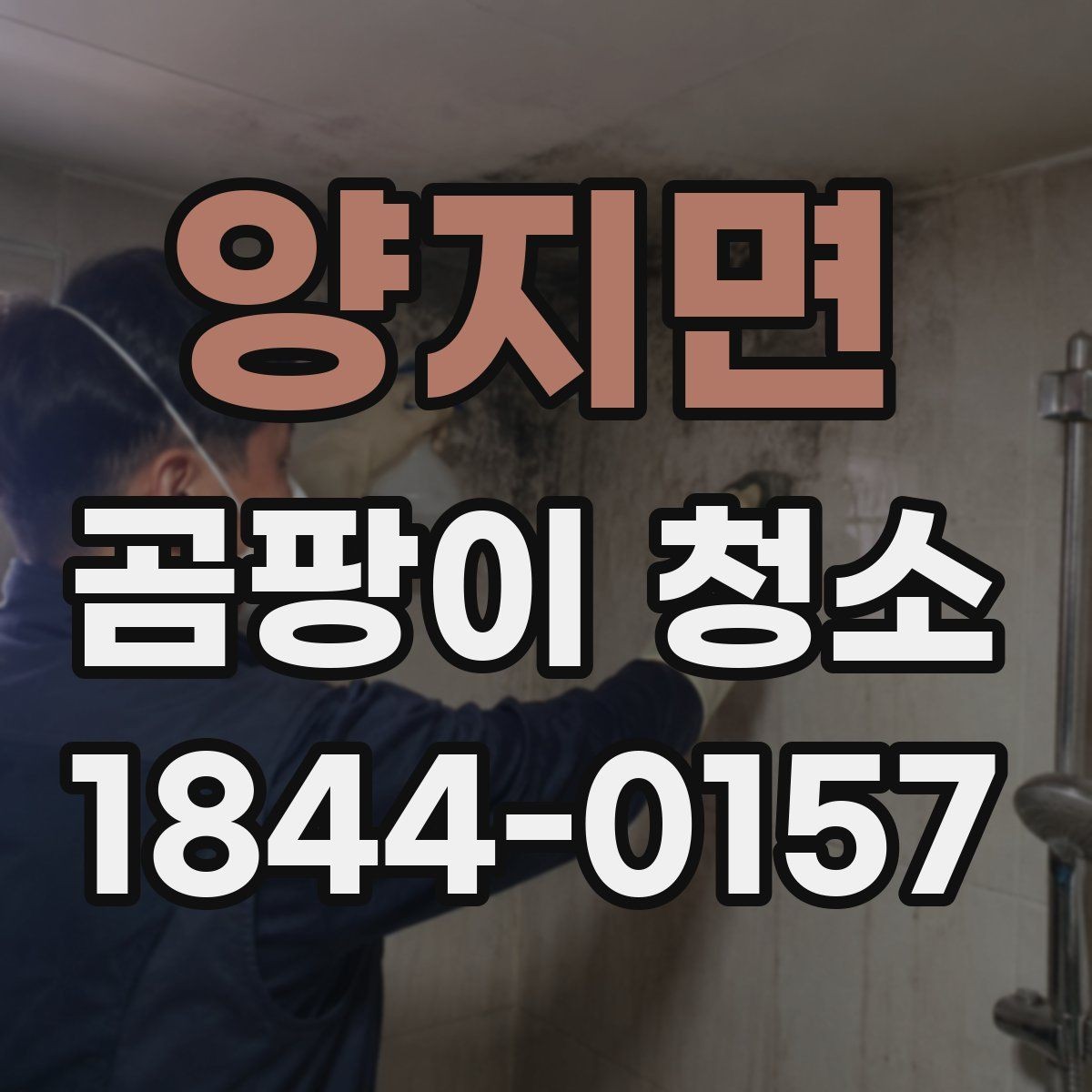 양지면 곰팡이 청소 후 다시 생긴다면 확인할 부분