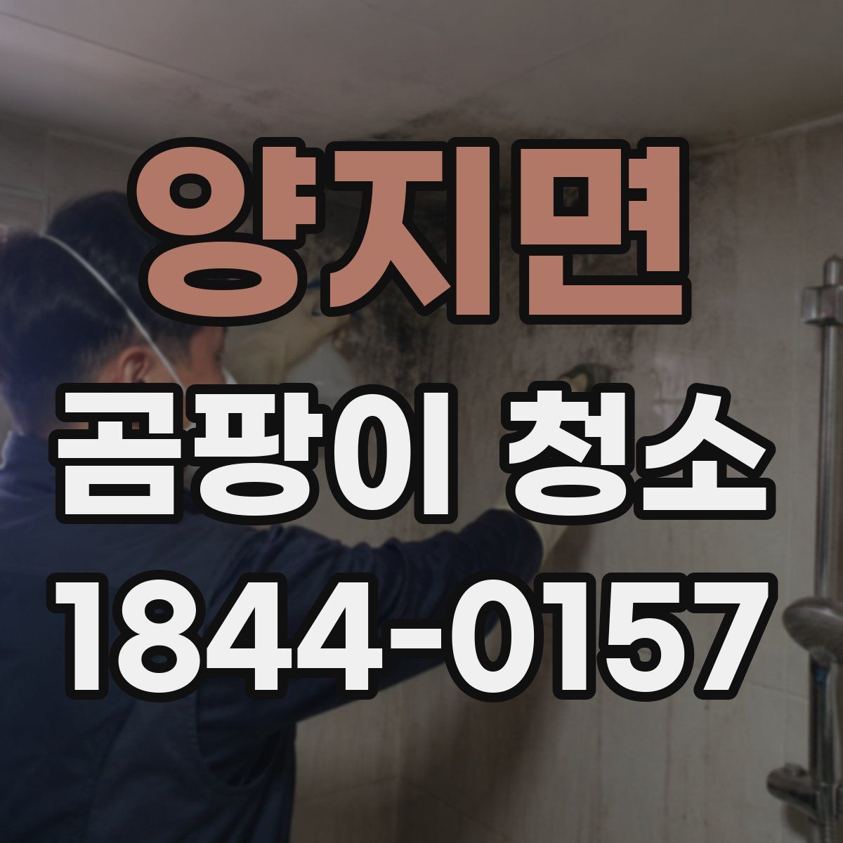 양지면 곰팡이 청소
