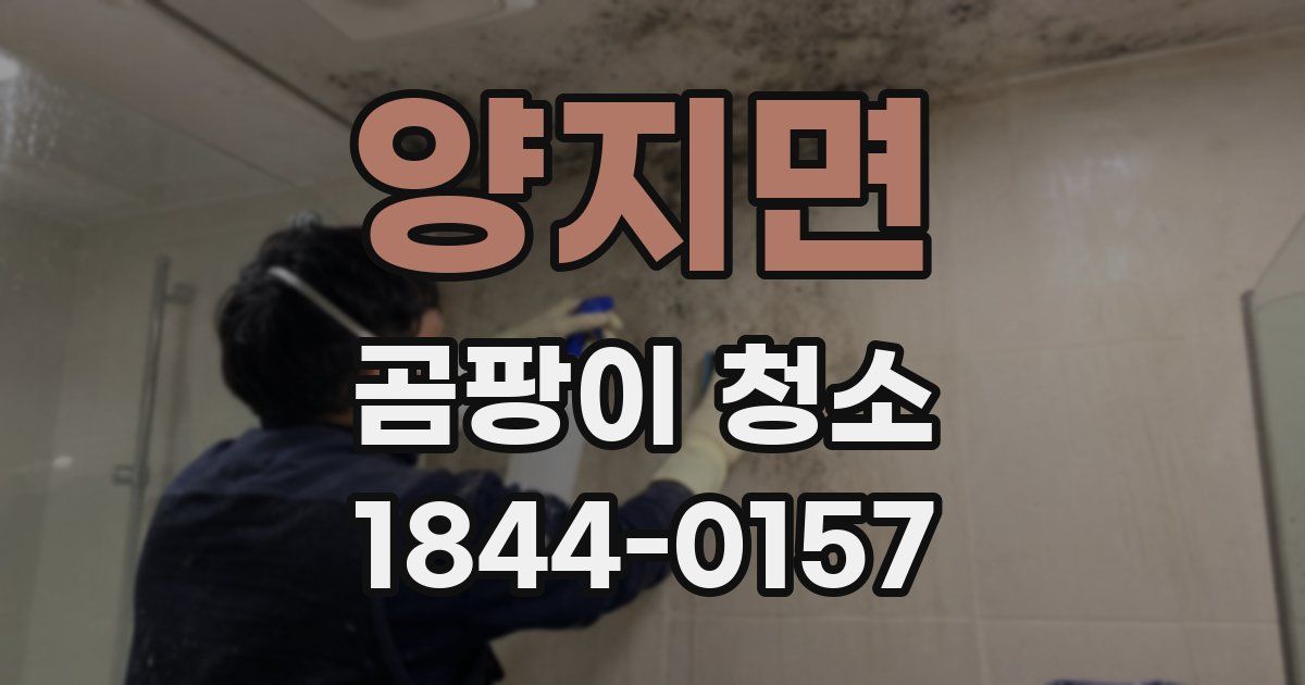 양지면 곰팡이 청소
