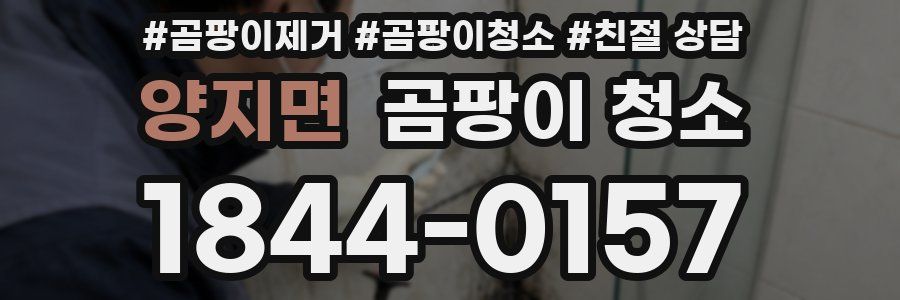 양지면 곰팡이 청소