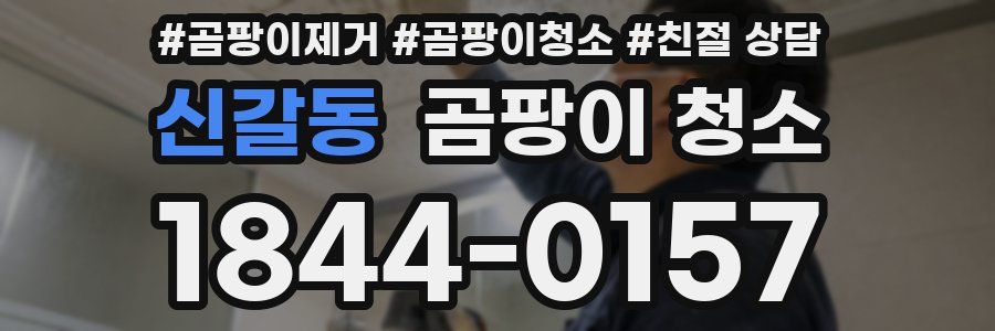 신갈동 곰팡이 청소