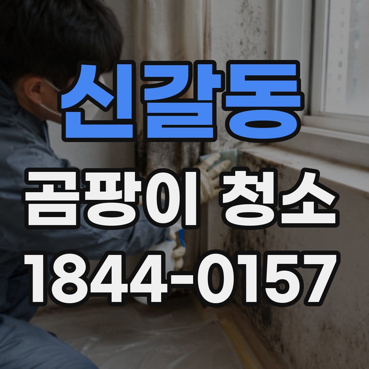 신갈동 곰팡이 청소