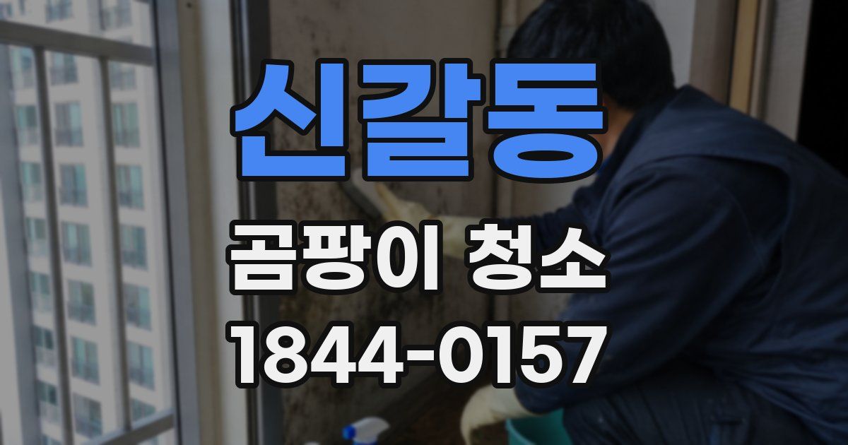 신갈동 곰팡이 청소