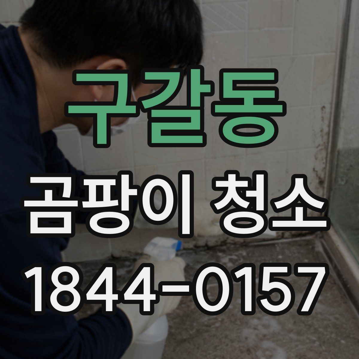 구갈동 곰팡이 청소 현장에서 많이 묻는 질문
