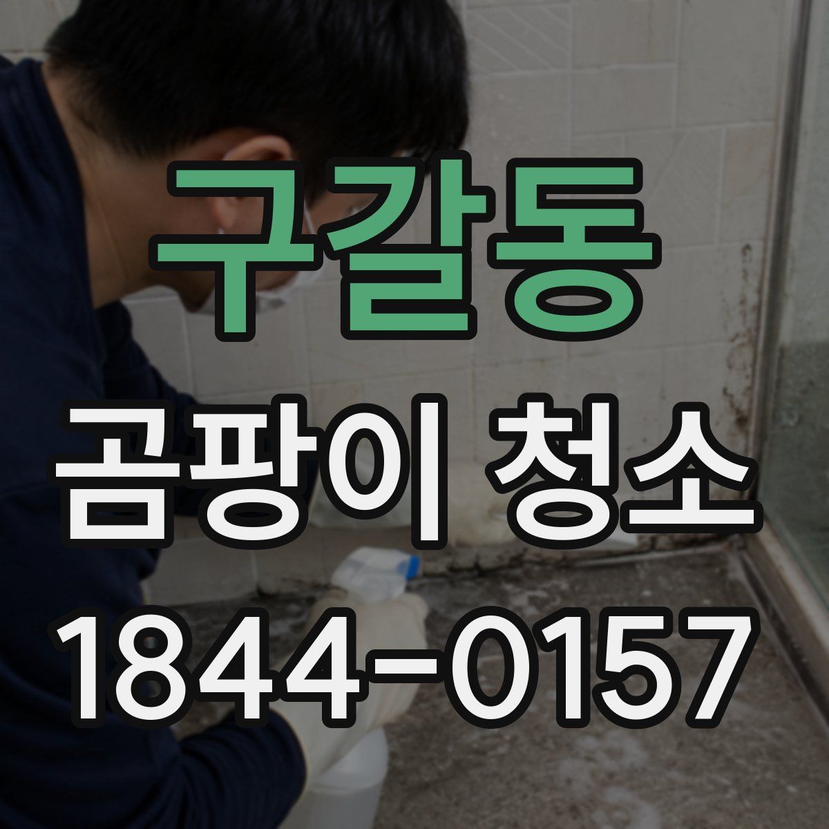 구갈동 곰팡이 청소