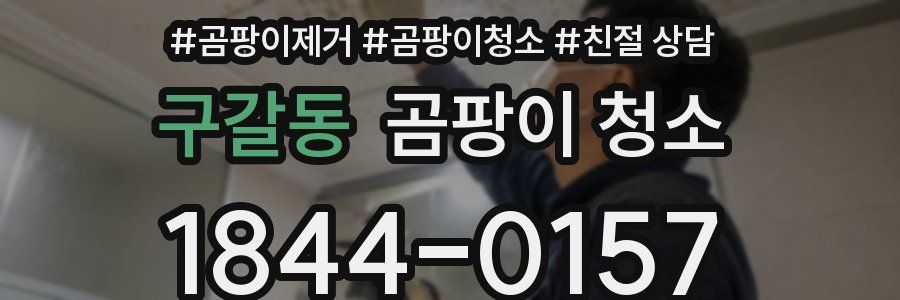 구갈동 곰팡이 청소