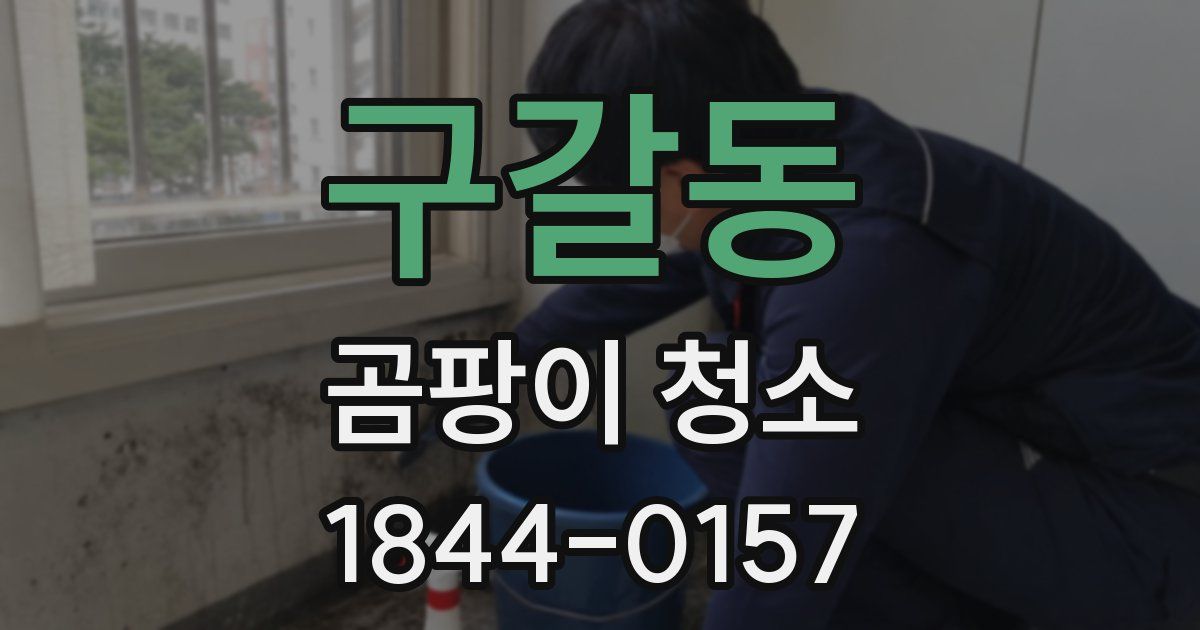 구갈동 곰팡이 청소