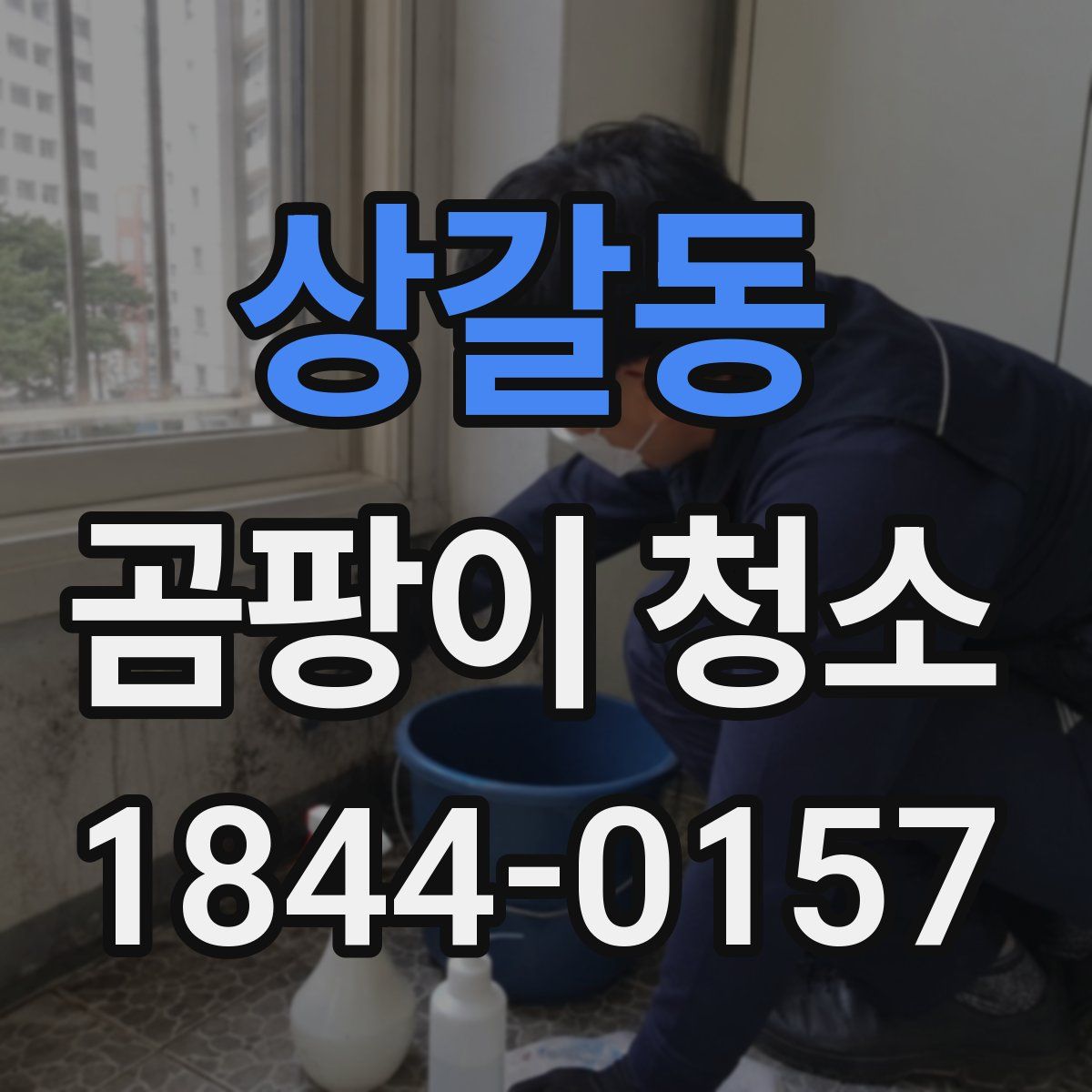 상갈동 곰팡이 청소