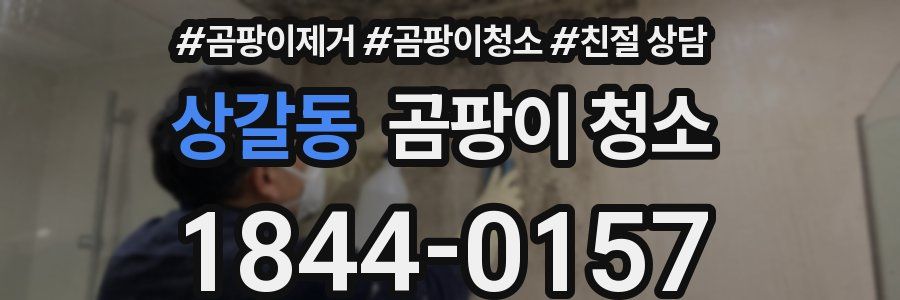 상갈동 곰팡이 청소