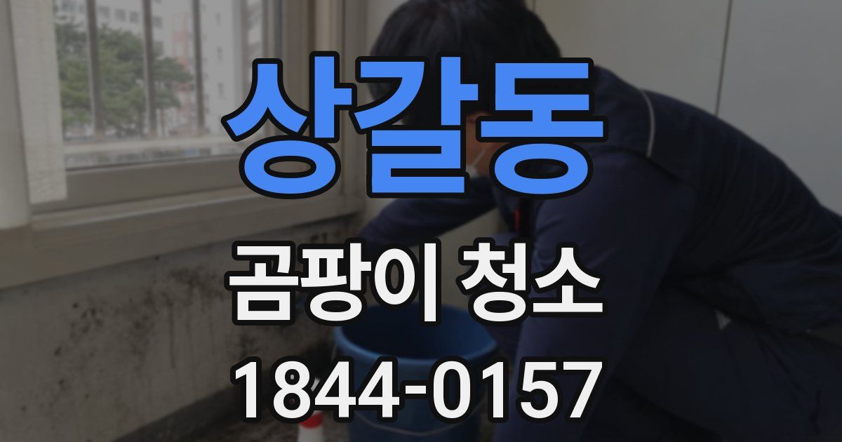 상갈동 곰팡이 청소