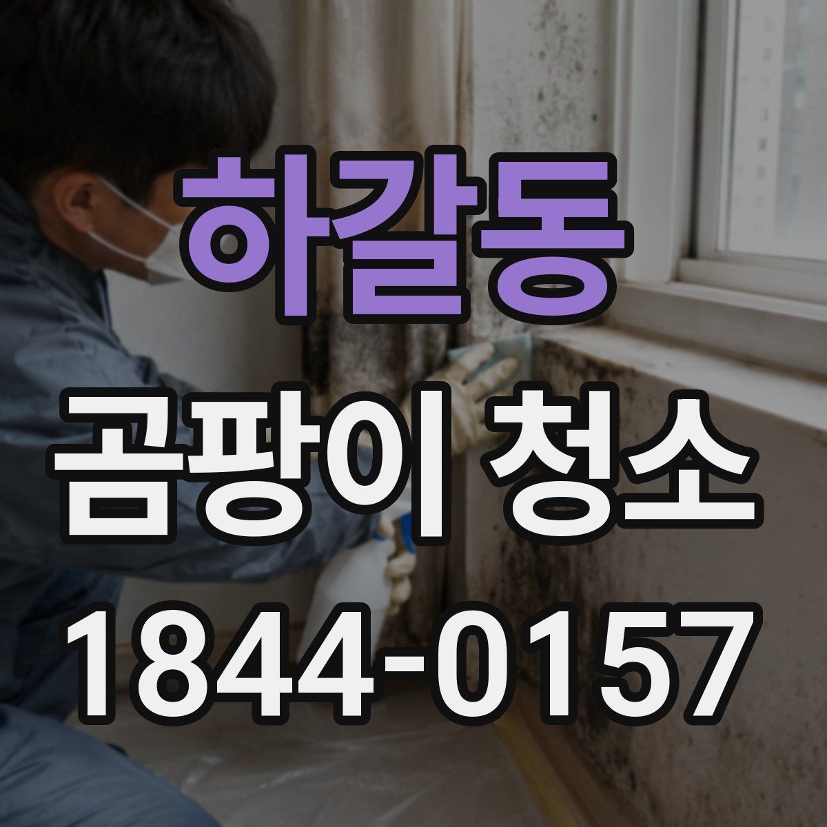 하갈동 곰팡이 청소