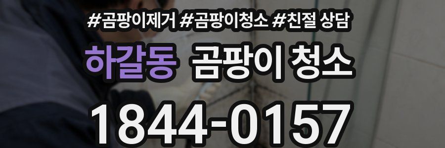 하갈동 곰팡이 청소