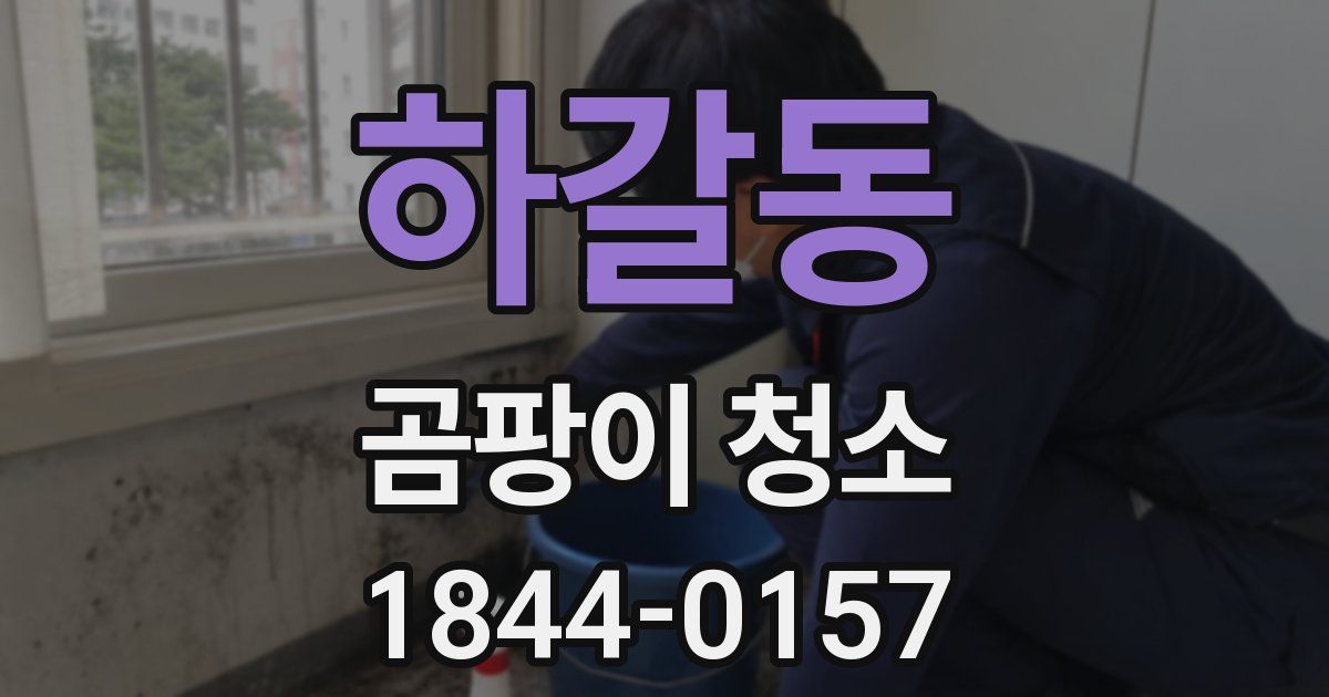 하갈동 곰팡이 청소