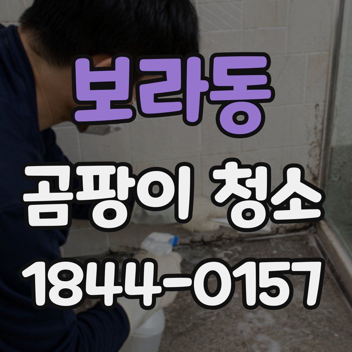 보라동 곰팡이 청소