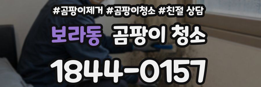 보라동 곰팡이 청소